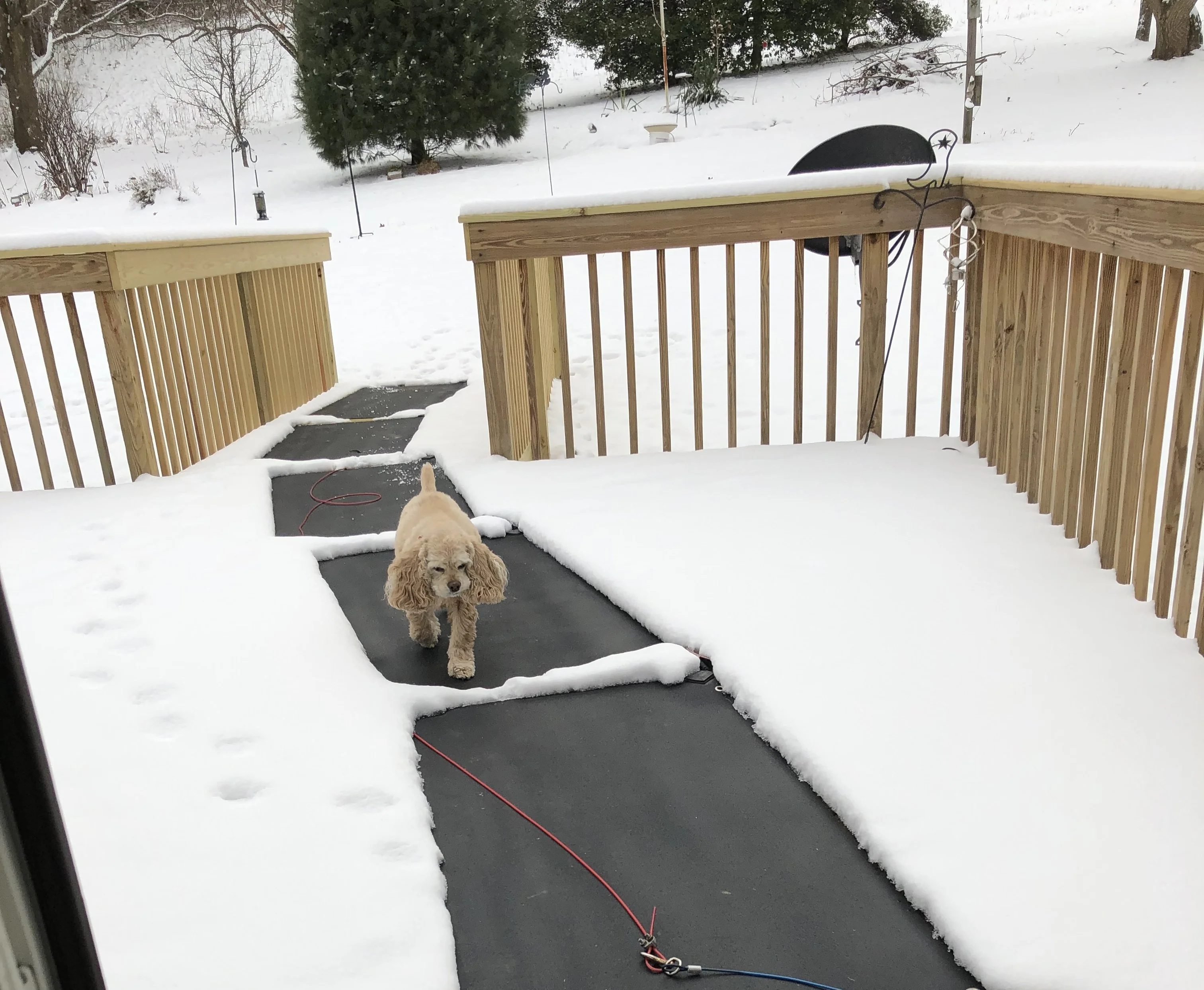 Heated Snow Melting Walkway Mat - Wide/Long - 30"x60" - Image 9